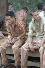 Imagen de Papillon - 4