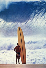 Imagen de Surf. El fuego sagrado - 4
