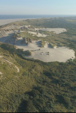 Imagen de Los paises bajos salvajes. Un pais bajo el nivel del mar - 4