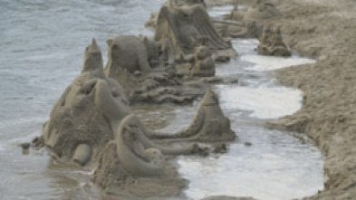 Imagen de Desafío en la arena - 5