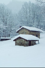 Imagen de 100 días de soledad - 4