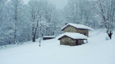 Imagen de 100 días de soledad - 5