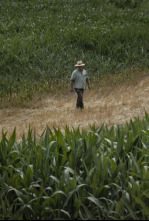 Imagen de Los saldos - 4