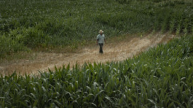 Imagen de Los saldos - 5