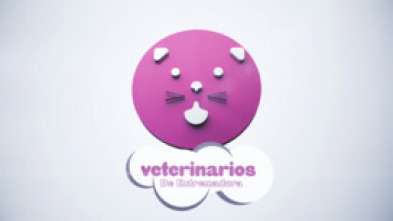 Imagen de Veterinarios de Extremadura - 5