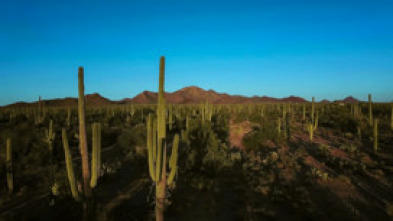 Imagen de Wild México: Los rápidos y los muertos - 5