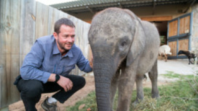 Imagen de Rescate en Sudáfrica - 5