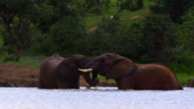 Imagen de Muerte en el río - 5