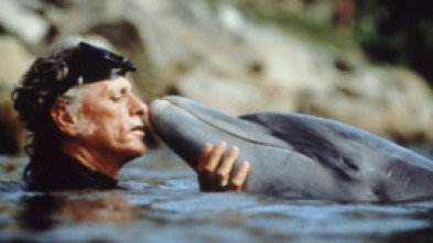 Imagen de The Cove - 5