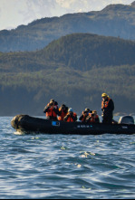 Imagen de Encuentros muy salvajes: Allí abajo - 5