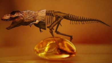 Imagen de Des-extinción - 5