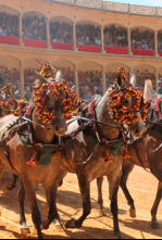Imagen de I Concurso Internacional de Enganches en Ronda - 4