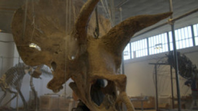 Imagen de Jurassic Cash - 5
