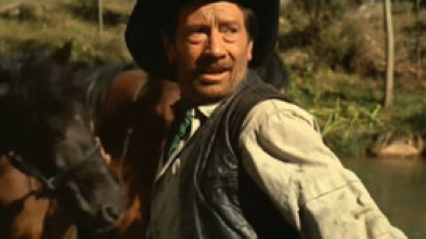 Imagen de Sonaron cuatro balazos - 5