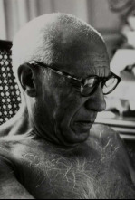 Imagen de Picasso más allá de la leyenda - 4