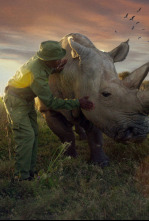 Imagen de Los últimos rinocerontes - 5