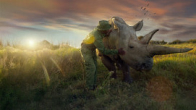 Imagen de Los últimos rinocerontes - 6