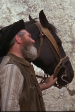 Imagen de Belleza negra - 4