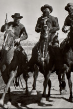 Imagen de La verdadera historia de Calamity Jane - 4