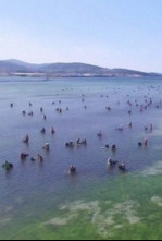 Imagen de Tal como somos - 4