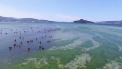 Imagen de Tal como somos - 5