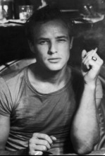 Imagen de Un tranvía llamado deseo - 11