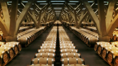 Imagen de La vigne en héritage - 5