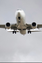 Imagen de Dentro del aeropuerto...: Detección y devoción - 5