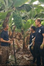 Imagen de Yo soy de... (T2): Cantabria - 4