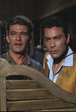 Imagen de Regresa un pistolero - 4