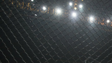 Imagen de UFC 248: Adesanya... (2020): Israel Adesanya vs Yoel Romero - 5
