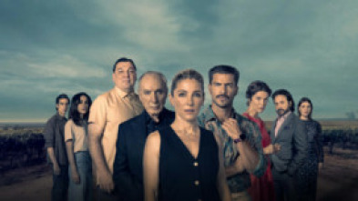 Imagen de Matices (T1): Ep.5 El Sr. y la Sra. Polan - 7