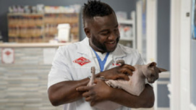 Imagen de Critter Fixers: Veterinarios rurales: Felinos felices - 5
