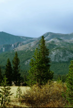 Imagen de Planeta selva: El bosque de los gigantes - 4