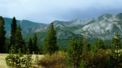 Imagen de Planeta selva: El bosque de los gigantes - 5