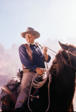 Imagen de Los cuatro hijos de Katie Elder - 4