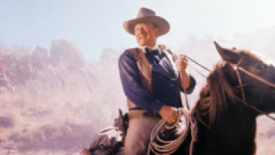 Imagen de Los cuatro hijos de Katie Elder - 5