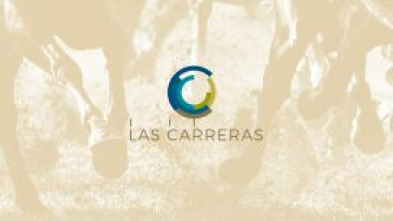 Imagen de Carreras de... (2025): 19/10/2025 Hipódromo de la Zarzuela - 8