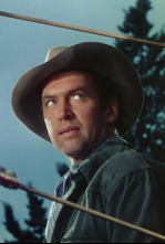 Imagen de Flecha rota - 4