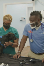 Imagen de Critter Fixers: ¡Que suenen los ladridos! - 4