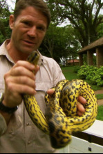 Imagen de Fauna letal: Panamá - 4