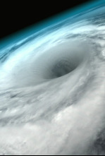 Imagen de Pacífico Sur: Un océano infinito - 4