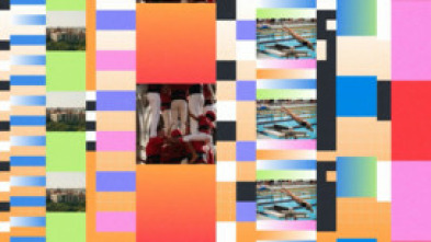 Imagen de Efecte mosaic (T1): Episodi 341 - 5