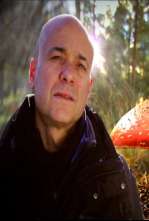 Imagen de El encantador de setas - 4