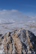 Imagen de Tibet, la cima del mundo - 4