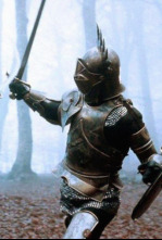 Imagen de Los paladines - 4