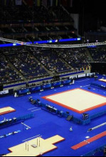 Imagen de Campeonato del mundo de gimnasia en trampolín (2025) - 4