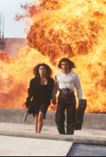 Imagen de Desperado - 4