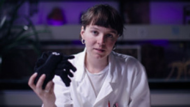 Imagen de La nature va à l'école - 5