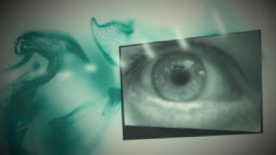 Imagen de Únics - 5